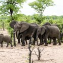 ZMB EAS SouthLuangwa 2016DEC09 KapaniLodge 009 : 2016, 2016 - African Adventures, Africa, Date, December, Eastern, Kapani Lodge, Mfuwe, Month, Places, South Luanga, Trips, Year, Zambia